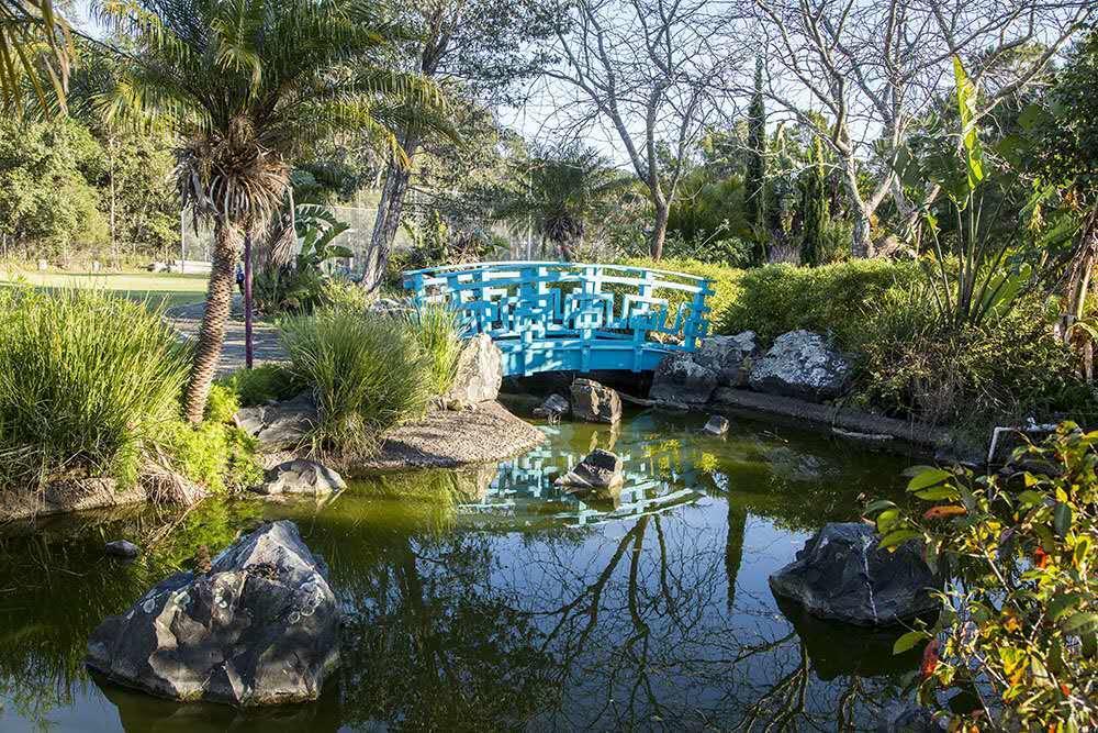 Seaside Garden Retreat Accommodation Wamberal Экстерьер фото